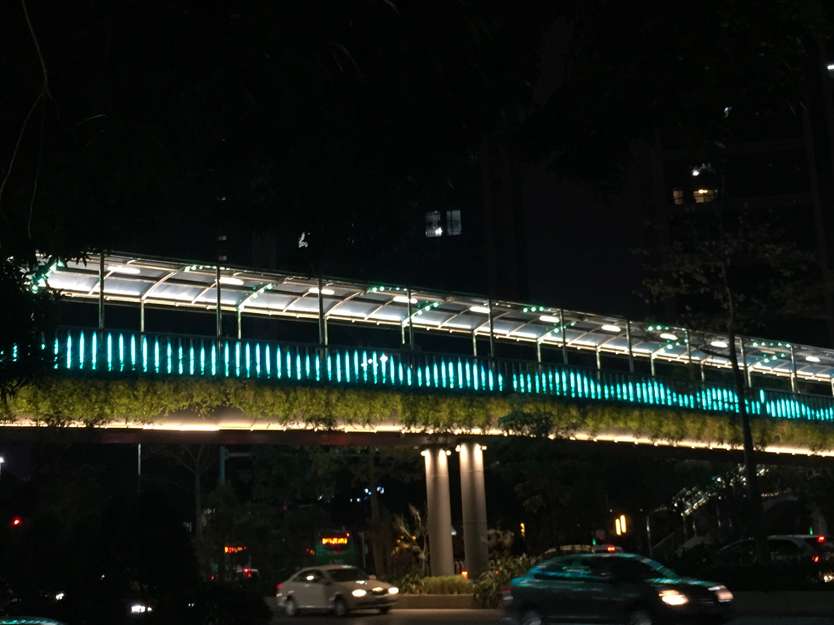 Longcheng Avenue, Longgang District, Shenzhen (Chadu Pedestrian Bridge)