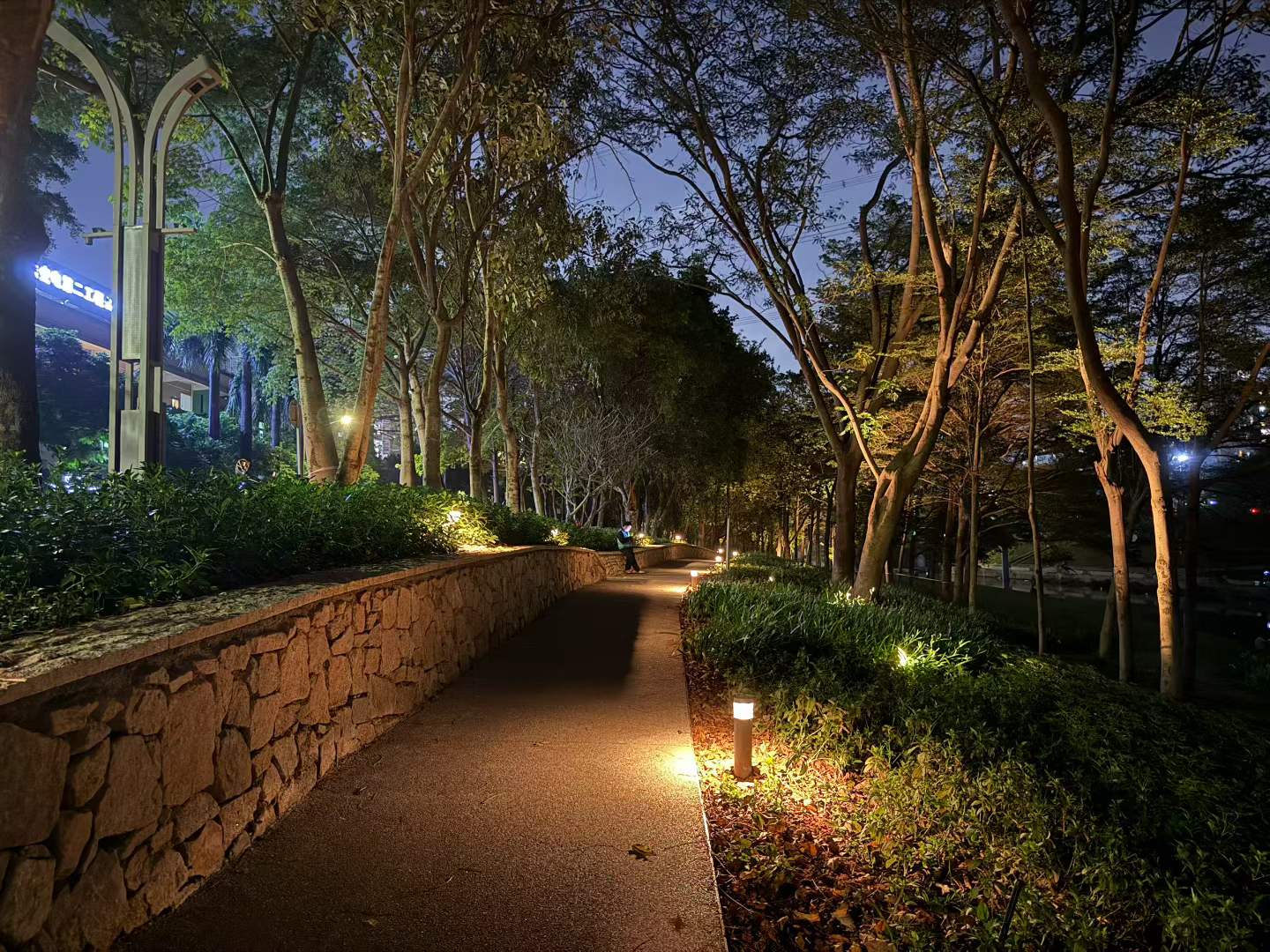 龙华观澜河干流碧道